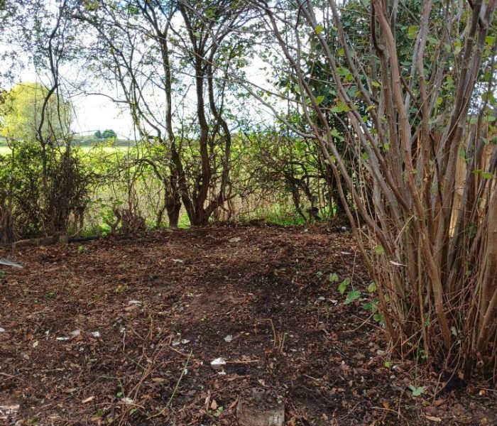 569737436_122107343625042395_5669516446897044782_n